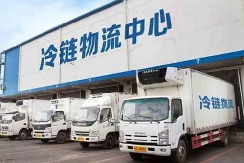 冷链物流公司